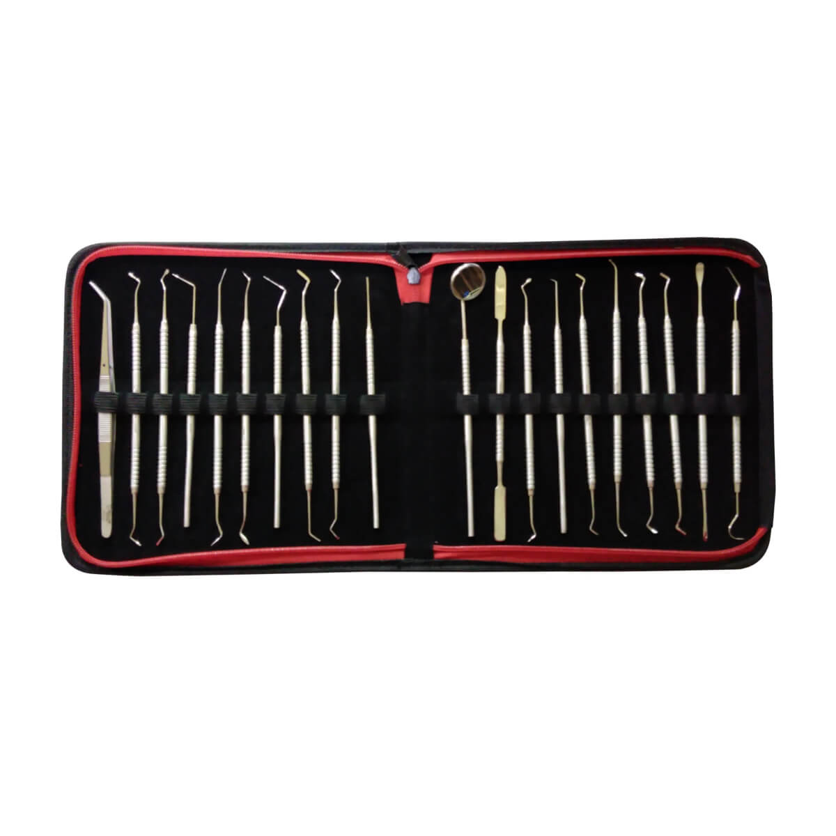 Ultimate Dental Instrument Kit: Dental Forceps, Root Elevator, Cartridge Pick, Probes, Scalpel | 20-Piece Set by Trumaster Impex