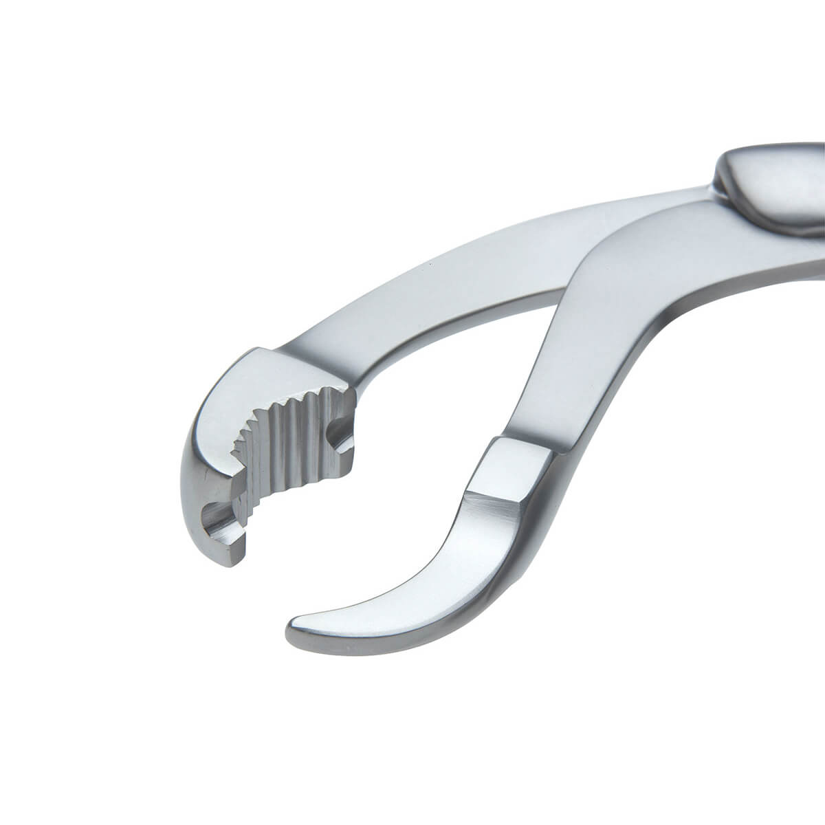 Verbrugge Bone Holding Forceps Orthopedic Instruments