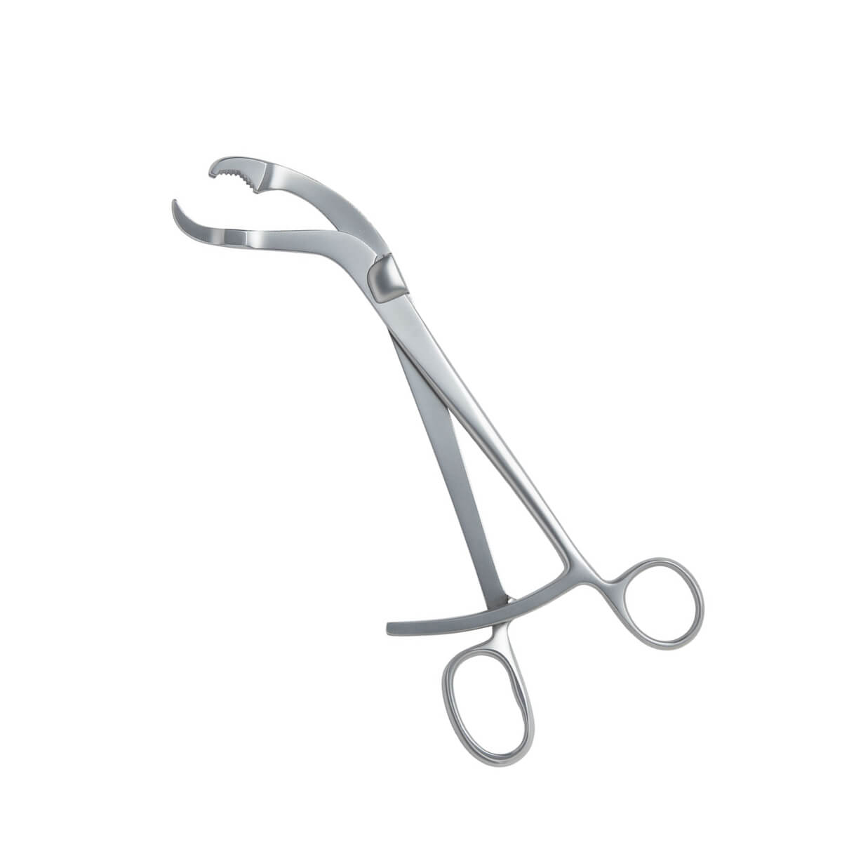 Verbrugge Bone Holding Forceps Orthopedic Instruments